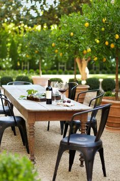 an outdoor dining table with four chairs and two bottles of wine on it, surrounded by lemon trees