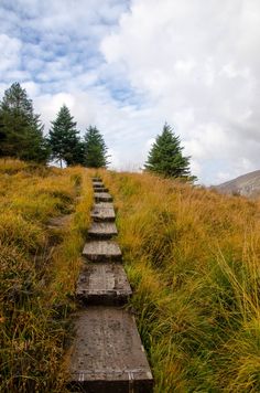 an old wooden bench sitting on top of a grass covered hillside