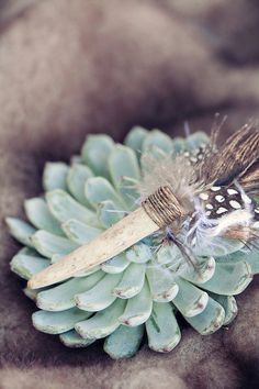 a close up of a pine cone with a bug on it's tip and feathers