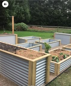 several raised garden beds with plants growing in them