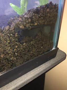 a fish tank filled with dirt and rocks