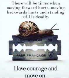 a snail sitting on top of a piece of metal with the words, have courage and move on