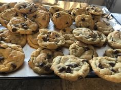 chocolate chip cookies on a baking sheet ready to be eaten