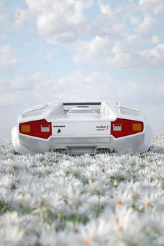 the rear end of a white sports car parked in a field full of daisies