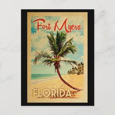 a vintage florida postcard with a palm tree on the beach