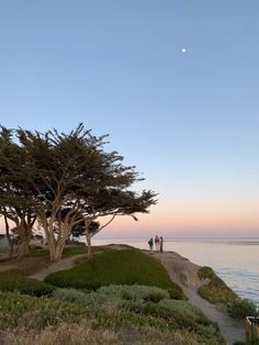 two people are walking on the beach near some trees and water at sunset or dawn