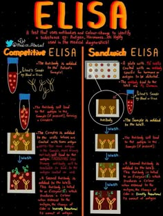 a poster with some writing on it that says elsia and the other words in different languages