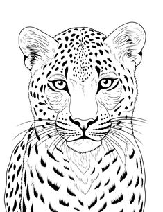 a black and white drawing of a leopard