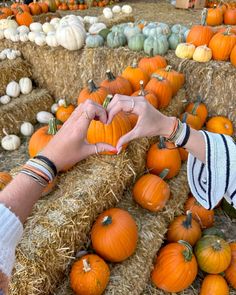 two people reaching out their hands to pick some pumpkins from the hay bales