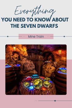 the cover of everything you need to know about the seven dwarfs in mine train, which is