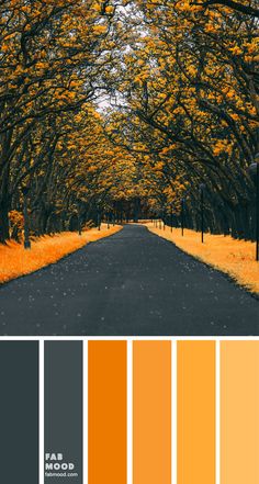 an orange and grey color scheme with trees