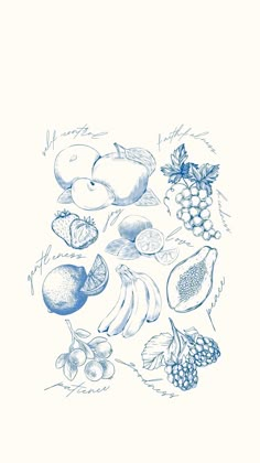 a drawing of various fruits on a white background