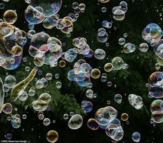 soap bubbles floating in the air near trees