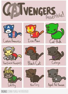 the avengerss are all different kinds of cats and kittens in their respective colors