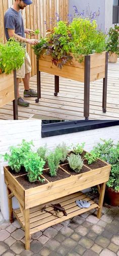 a man standing next to a wooden bench filled with potted plants and other planters