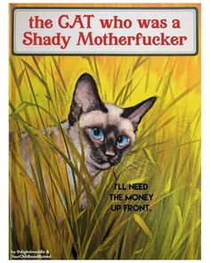 Funny Book Titles, Funny Book Covers, Book Parody, Childhood Ruined, Bizarre Books, Fake Books, Funny Books, Book Titles, Cat Books