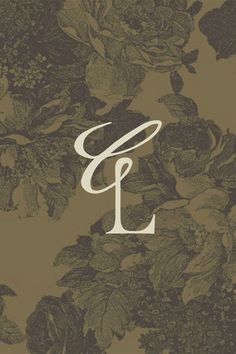 the letter p is surrounded by flowers and leaves on a brown background with white letters