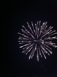 fireworks are lit up in the dark sky with no one around them to see it