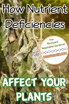 the cover of how nutriennt deficies effect your plants