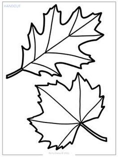 two leaves that are black and white