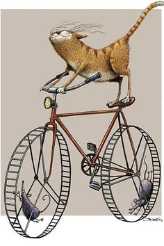 a cat riding on the back of a bike with mice in it's basket