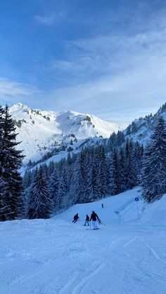 three people are skiing down a snowy hill with mountains in the background and pine trees on both sides