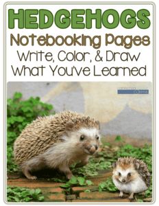 hedgehogs notebooking pages write color and draw what you've learned