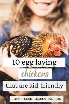 Chicken Coop Lean To, Friendly Chicken Breeds, Chicken Coop Names, Chicken Breeds With Pictures, Chicken Housing, Raising Chickens For Beginners, Chickens Backyard Breeds, Chicken Breeds For Eggs, Best Chicken Breeds