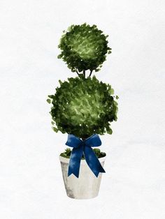 a painting of a potted plant with a blue bow