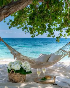 a hammock on the beach with two glasses of wine and flowers in it