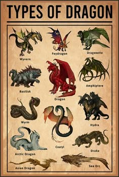 a poster with different types of dragon on it's sides and the names in each