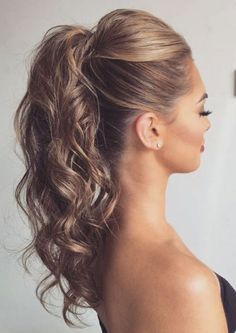 Date Night Hair, Elegant Ponytail, High Ponytail Hairstyles, Prom Hair Updo, Night Hairstyles, Evening Hairstyles, Hair St, Latest Hairstyles