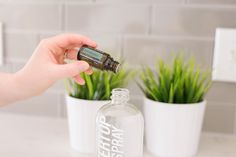 a person holding an essential oil bottle in front of a plant on a counter top