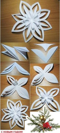 paper snowflakes are cut out to look like flowers