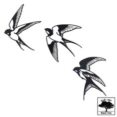 three black and white birds flying in the sky