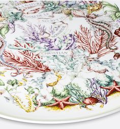 a white plate with colorful sea life on it