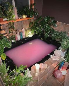 a bathtub filled with lots of plants and rocks