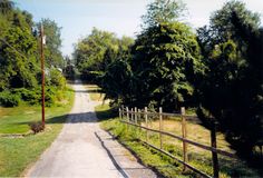 an empty dirt road surrounded by trees and fenced in area with green grass on both sides