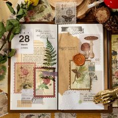 an open book with papers and stamps on it, surrounded by other items such as flowers