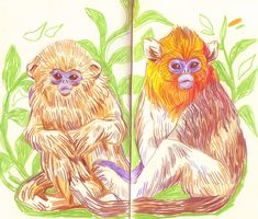 two colored drawings of monkeys sitting next to each other