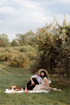 a man and woman sitting on a blanket in the grass near an apple tree with apples