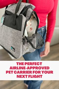 the perfect airline - approved pet carrier for your next flight