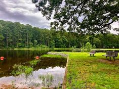 two park benches sitting on top of a grass covered field next to a lake with trees in the background