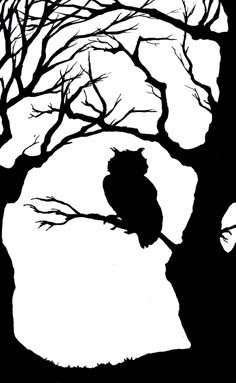 an owl is perched on the branch of a tree