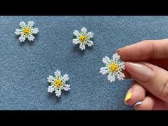 three small white and yellow flowers are being held by a woman's hand on a blue surface