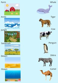 an image of different animals and their names