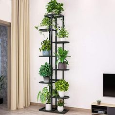 a living room filled with lots of plants and a flat screen tv mounted on the wall