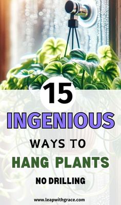 a potted plant with the words 15 ingenious ways to hang plants no drilling