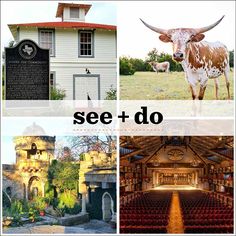 there are pictures of different buildings and animals in the photo, including a building that says see + do