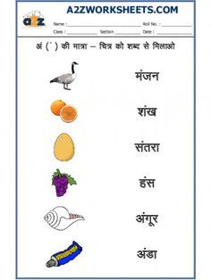 worksheet for the english language with pictures and words on it, including fruits